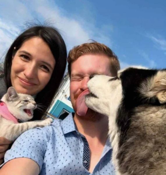 Смешных кошек вам в ленту! (19 фото)