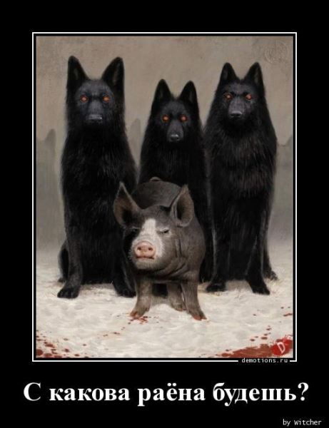 Свежая подборка демотиваторов: «Кто не работает, тот ест» (17 фото)