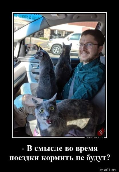 Демотиваторы – приколы: «Со своей сменкой» (18 фото)