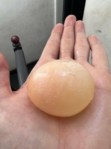 Интересные снимки обо всём на свете (27 фото)