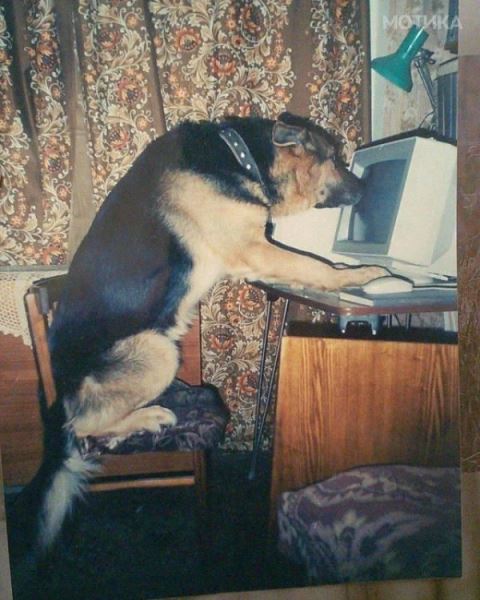 Что здесь происходит?! (16 фото)