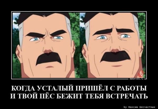 Демотиваторы – приколы: «Со своей сменкой» (18 фото)