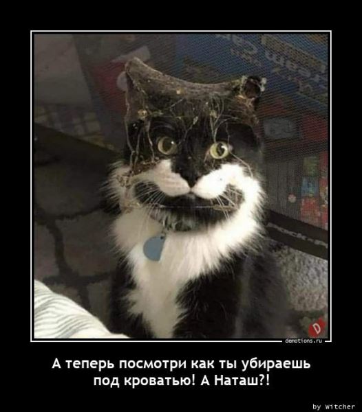 Свежая подборка демотиваторов: «Кто не работает, тот ест» (17 фото)