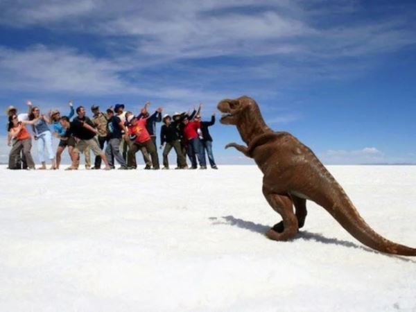 Забавные иллюзии, в которых всё решает ракурс и перспектива (18 фото)