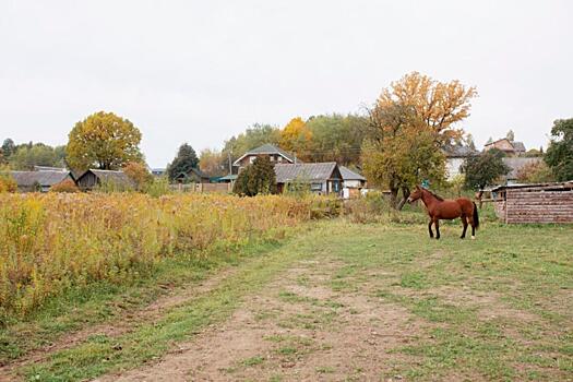 Рай для любителей поспать: почему люди в поселке Калачи засыпали на работе