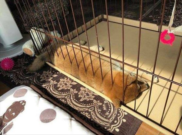 Пятничные фотоприколы: «Во сколько ты обычно заканчиваешь работать?» (36 фото)