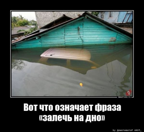 Демотиваторы на любой вкус: «Верить нельзя ничему…» (16 фото)