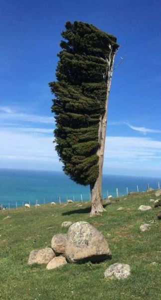 Середина недели — приколы подоспели: «Что нравится в постели?» (36 фото)