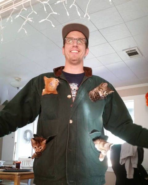 Фотоприколы в понедельник: «Туи ели сосны» (29 фото)