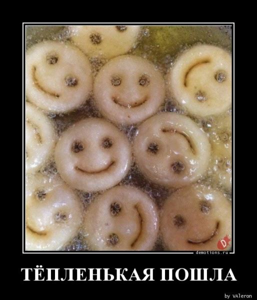 Демотиваторов пост: «Дорогу королю!» (13 фото)