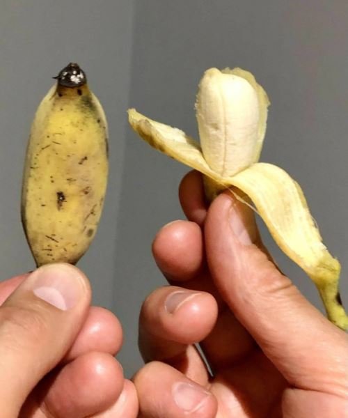 Пятничные фотоприколы: «Поздравляю с днём рождения…» (39 фото)