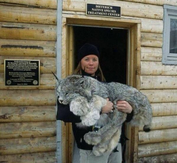 Середина недели — приколы подоспели: «Что нравится в постели?» (36 фото)