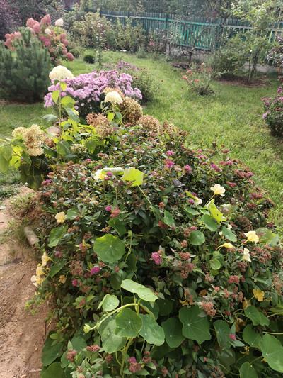 Удобство для геймеров: Обзор смартфона  Infinix GT 30 Pro