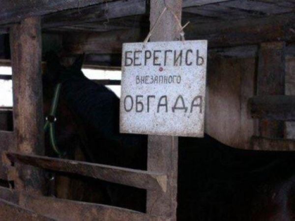 Смешные объявления, вывески и реклама: «Печенье кокосовое…» (12 фото)