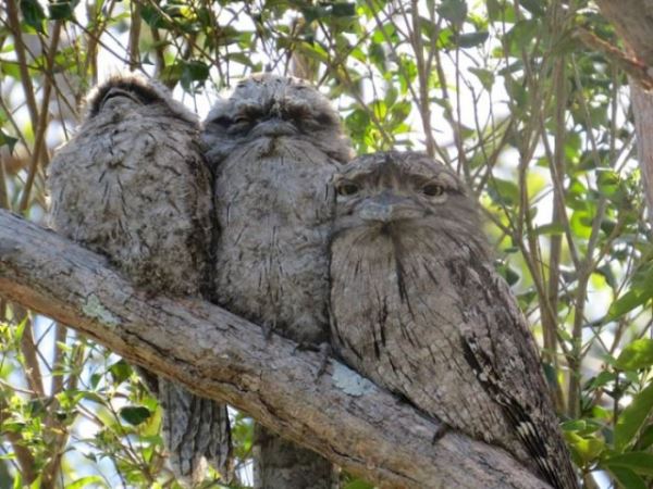 Пятничные фотоприколы: «Во сколько ты обычно заканчиваешь работать?» (36 фото)