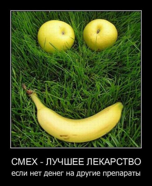 Демотиваторы для пятничного настроения: «Это я на работе после обеда…» (15 фото)