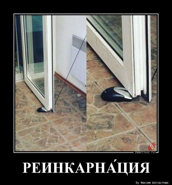 Демотиваторы для пятничного настроения: «Это я на работе после обеда…» (15 фото)