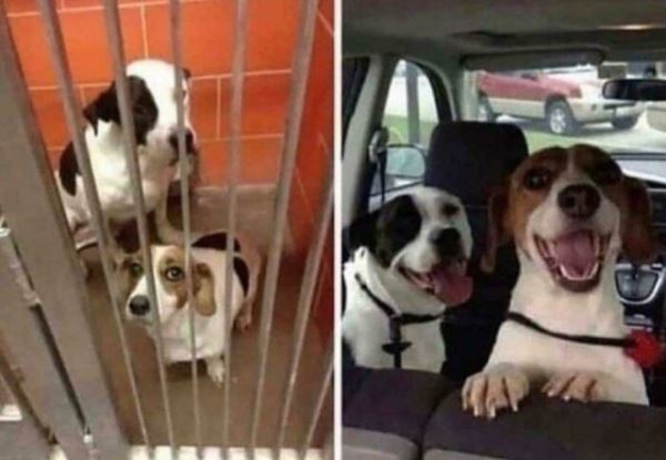 Впечатляющие преображения, которые вызовут улыбку (20 фото)