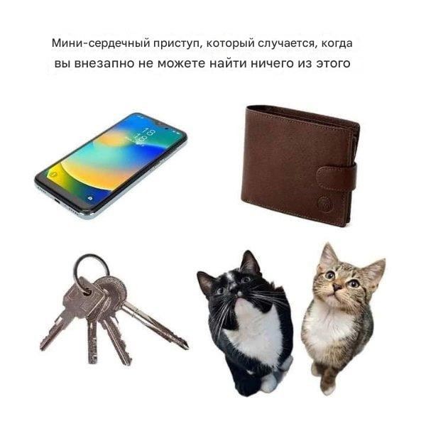 Котомемы для настроения (16 шт)