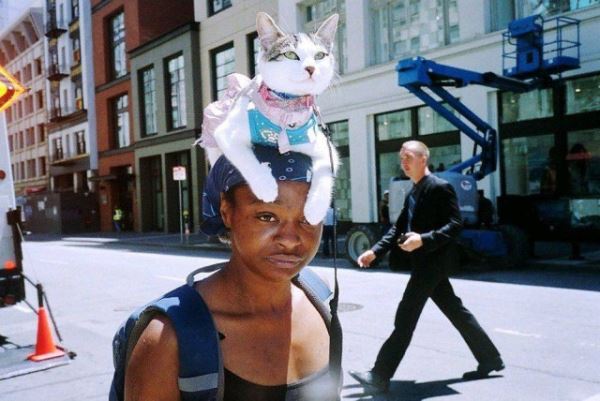 Приколы дня для всех и для каждого: «Когда единственный на созвоне…» (28 фото)