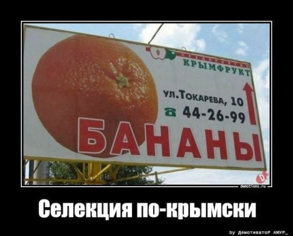 Свежая подборка демотиваторов: «Кто не работает, тот ест» (17 фото)