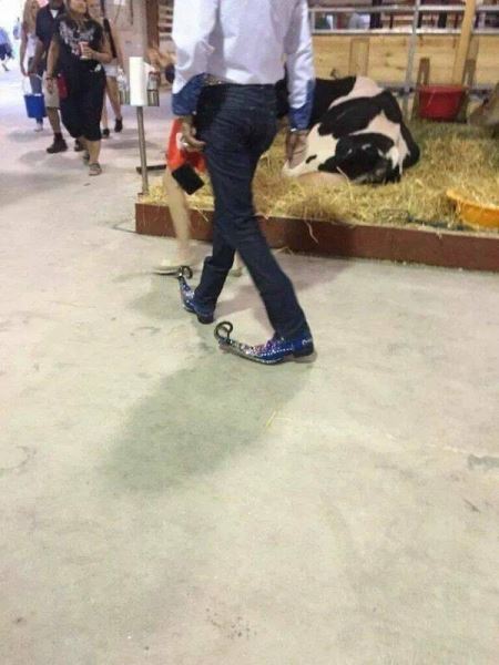 Смешные приколы в картинках: «Зря вы читали Оруэлла…» (26 фото)