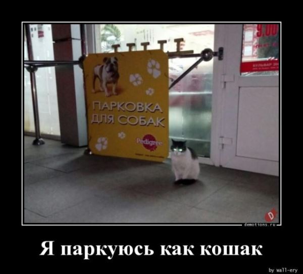 Демотиваторов пост: «Дорогу королю!» (13 фото)