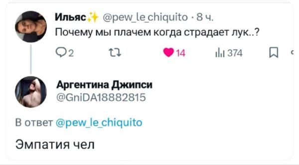 Прикольные комментарии: «Почему мы плачем, когда страдает лук?» (12 фото)