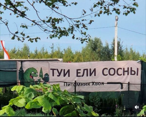 Смешные объявления, вывески и реклама: «Печенье кокосовое…» (12 фото)