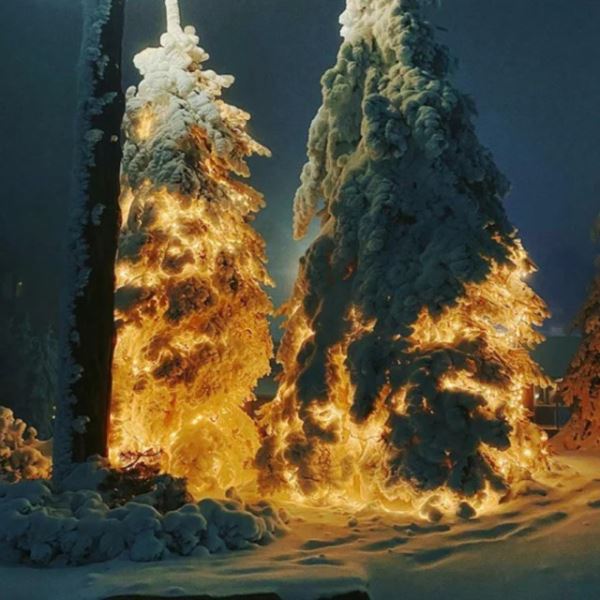 Прикольные фотографии, на которые придётся взглянуть дважды (12 шт)