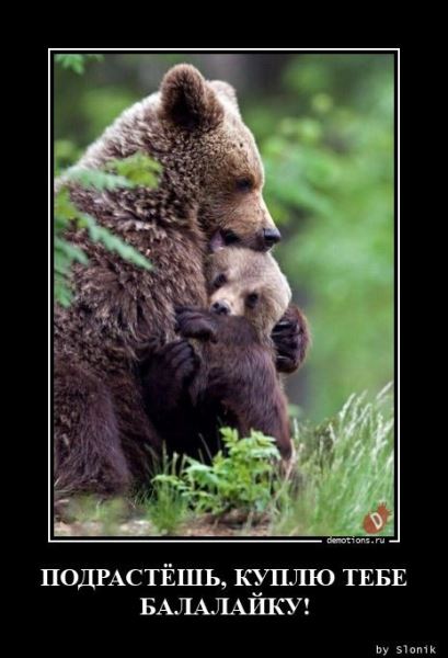 Демотиваторов пост: «Дорогу королю!» (13 фото)