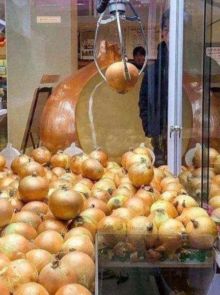 Нет-нет, только не это! (22 фото)