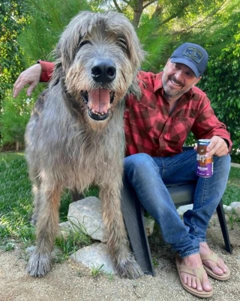 Большие друзья человека (20 фото)