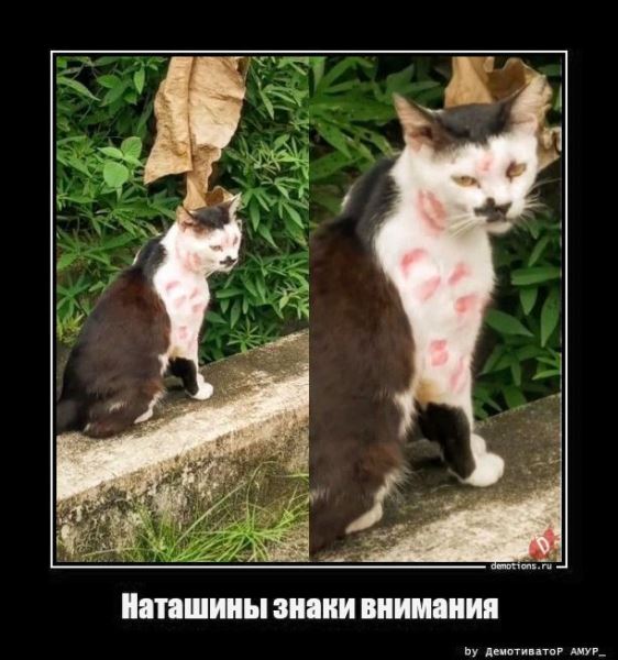 Демотиваторы дня: «На стыке двух эпох…» (15 фото)