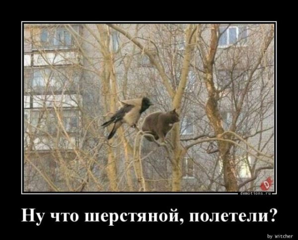 Демотиваторы – приколы: «Со своей сменкой» (18 фото)