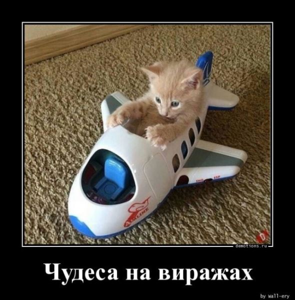 Демотиваторы прикольные для всех: «Фитотерапия» (17 фото)