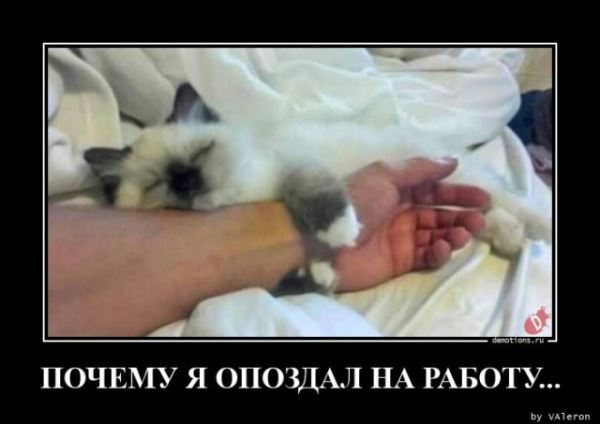 Демотиваторы на любой вкус: «Верить нельзя ничему…» (16 фото)