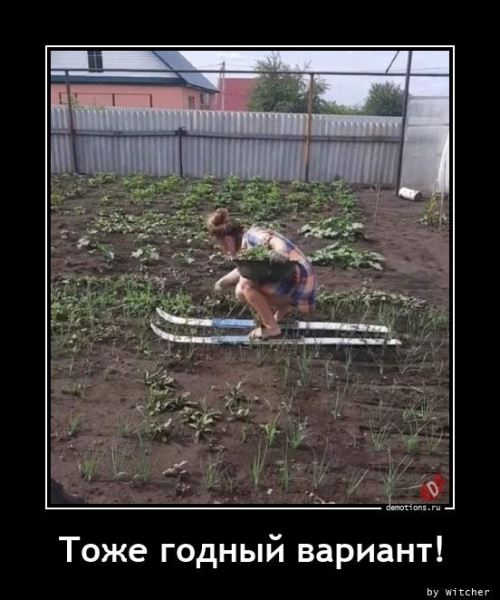 Демотиваторы дня: «Детское заблуждение — …» (14 фото)