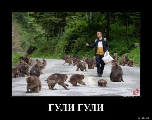 Демотиваторы прикольные для всех: «Фитотерапия» (17 фото)