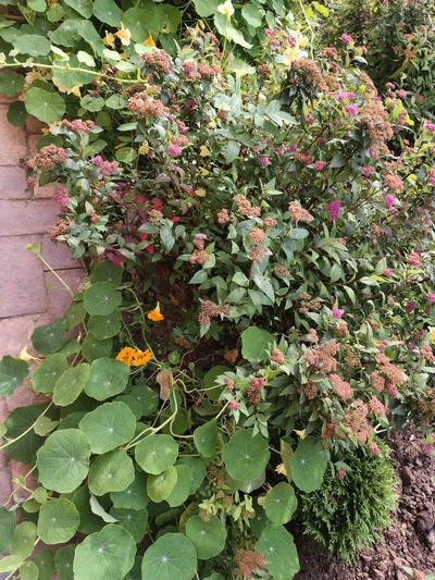 Удобство для геймеров: Обзор смартфона  Infinix GT 30 Pro