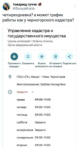 Прикольные комментарии: «Почему мы плачем, когда страдает лук?» (12 фото)