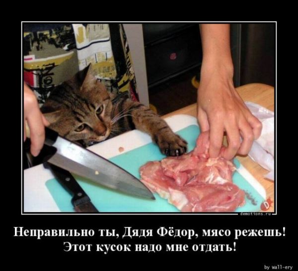 Демотиваторы на любой вкус: «Верить нельзя ничему…» (16 фото)