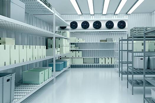 Курьер освободил женщину из промышленного холодильника и спас ей жизнь