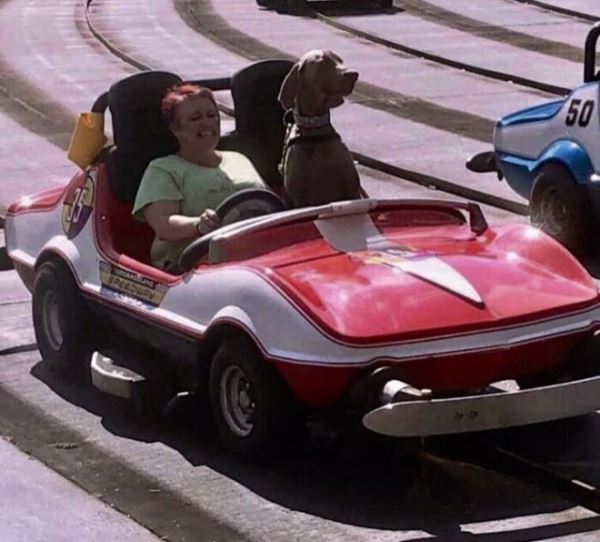 Весёлые фотографии, которые люди привезли домой после поездки в парк развлечений (18 фото)