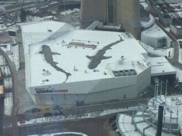 Прикольные картинки для настроения: «Бьюти-советы для мужиков…» (26 фото)