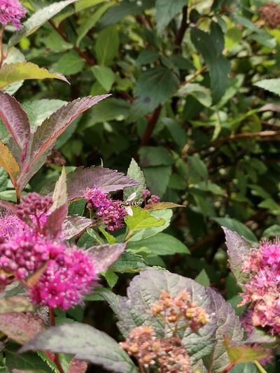 Удобство для геймеров: Обзор смартфона  Infinix GT 30 Pro