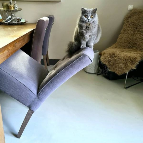 Позитив в прикольных картинках: «Моя любимая еда…» (26 фото)