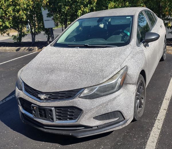 Нет-нет, только не это! (22 фото)