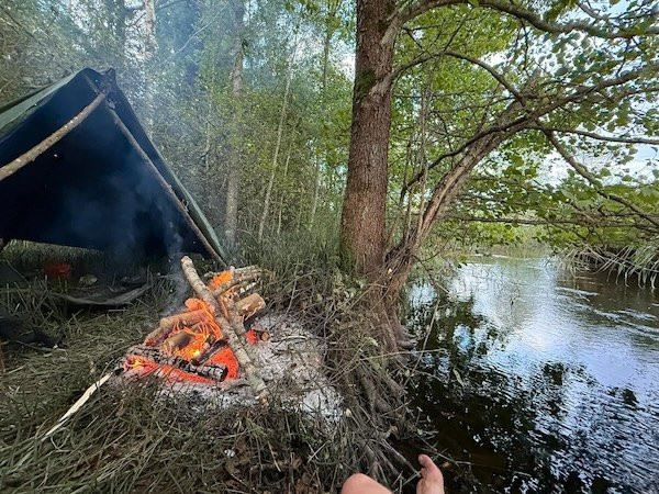 Атмосферные фотографии жизни на природе (11 фото)