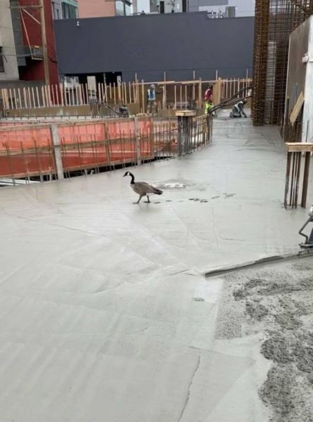 Весёлые пятничные картинки: «Дорогие керамисты!» (36 фото)